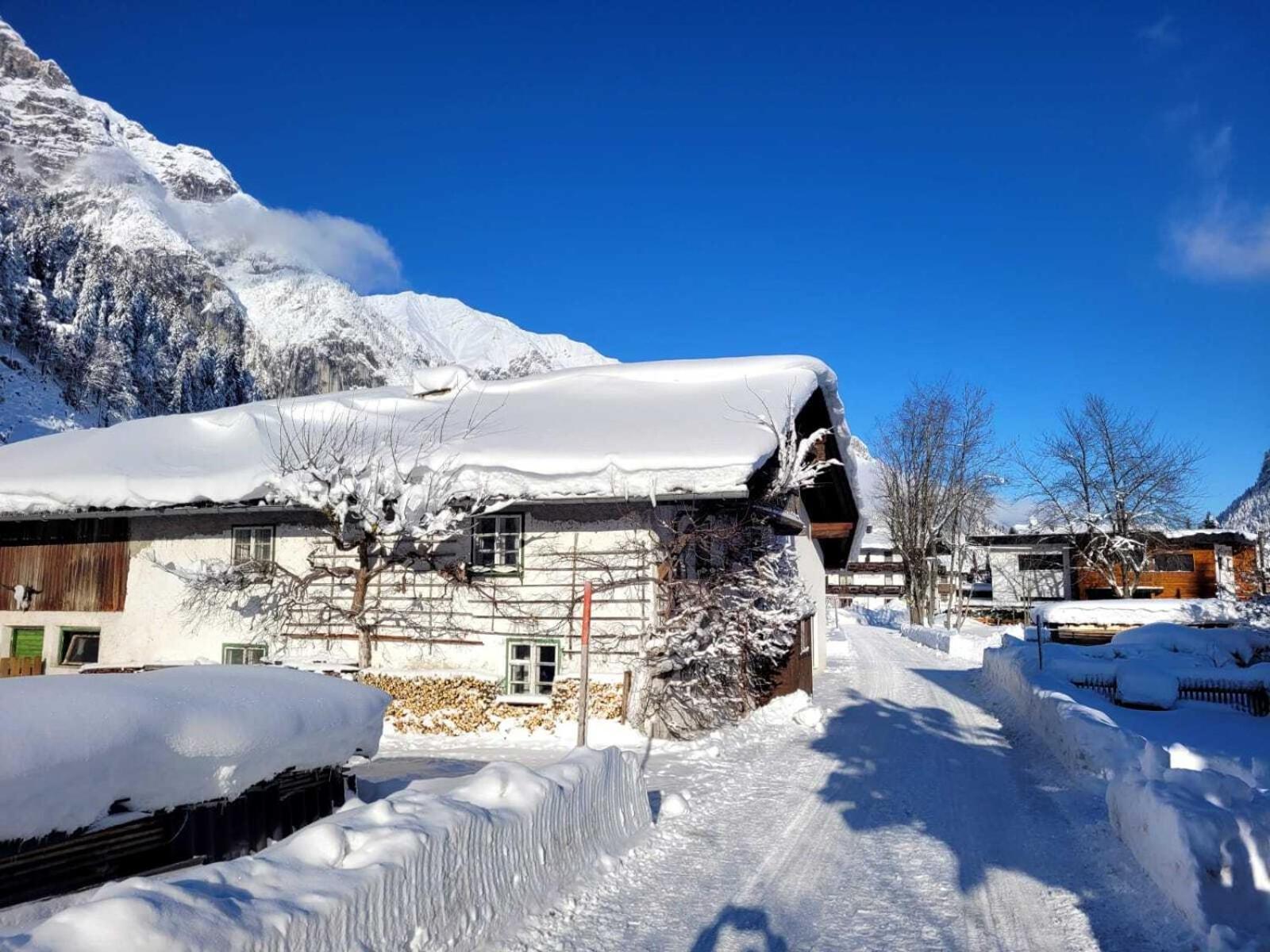Alpenchalet Im Leutaschtal المظهر الخارجي الصورة