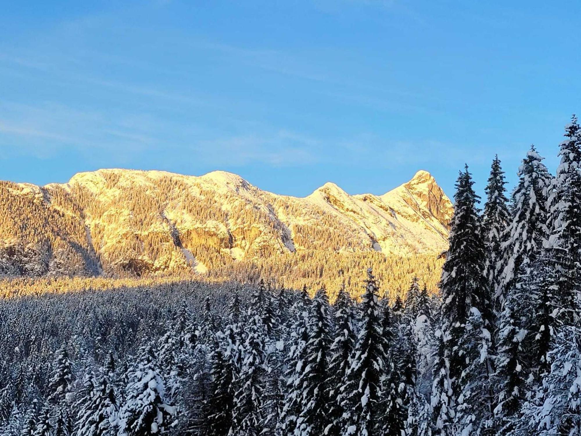Alpenchalet Im Leutaschtal المظهر الخارجي الصورة